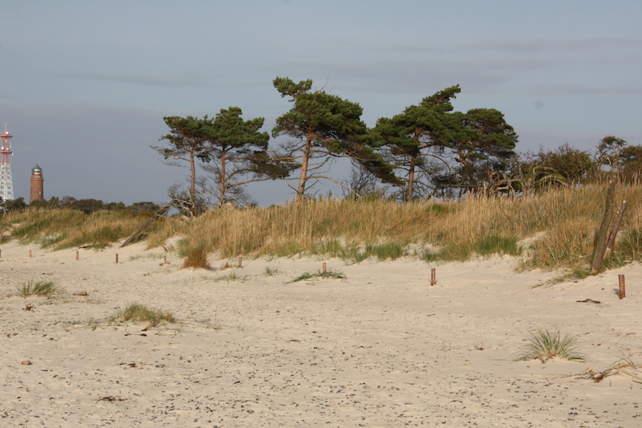 Am Ziel der Wanderung: Der Leuchttutm am Darßer Ort.