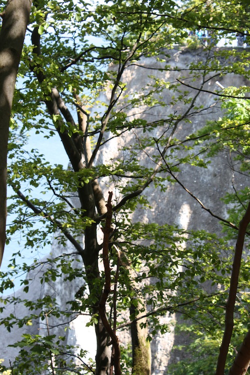 Westlicher Königstuhl-Felsen vom östlichen Felsen aufgenommen