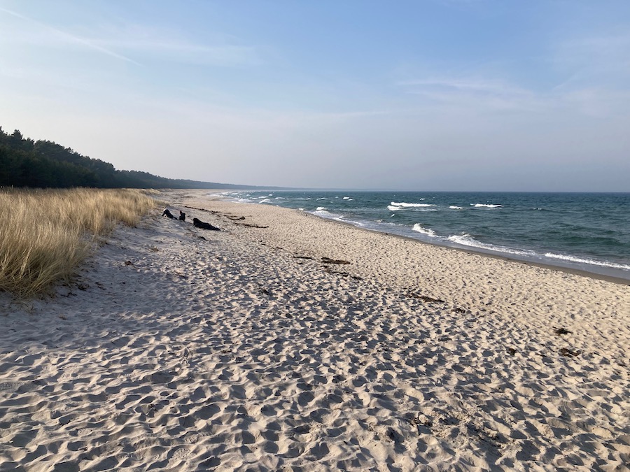 Zehn Kilometer Naturstrand mit Gebüsch